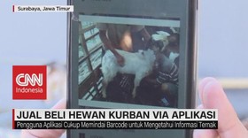 VIDEO: Jual Beli Hewan Kurban Via Aplikasi