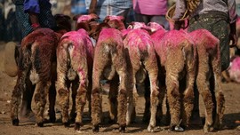 FOTO: Melihat Persiapan Idul Adha di Berbagai Negara