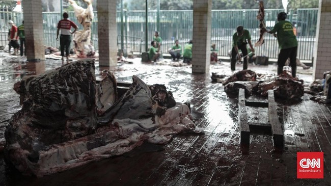 Suasana pemotongan hewan kurban di Masjid Istiqlal, Jakarta, Minggu, 11 Agustus 2019. Masjid Istiqlal menggunakan besek rotan sebagai wadah utama daging kurban sesuai dengan instruksi gubernur DKI Jakarta, Anies Baswedan. CNN Indonesia/Bisma Septalisma