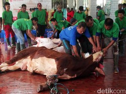 Tuntunan Doa Menyembelih Hewan Kurban Lengkap dan Artinya