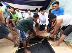 Tata Cara Menyembelih Hewan Kurban Lengkap Doa hingga Waktunya