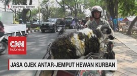 VIDEO: Jasa Ojek Antar-Jemput Hewan Kurban