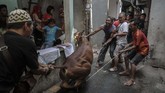 FOTO: Memaknai Ikhlas pada Ritual Pemotongan Hewan Kurban Ritual pemotongan hewan kurban dimaknai sebagai keikhlasan berbagi dan untuk menambah ketakwaan umat Muslim.