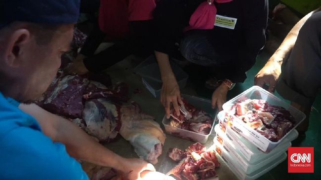 Cara menyimpan daging kurban.