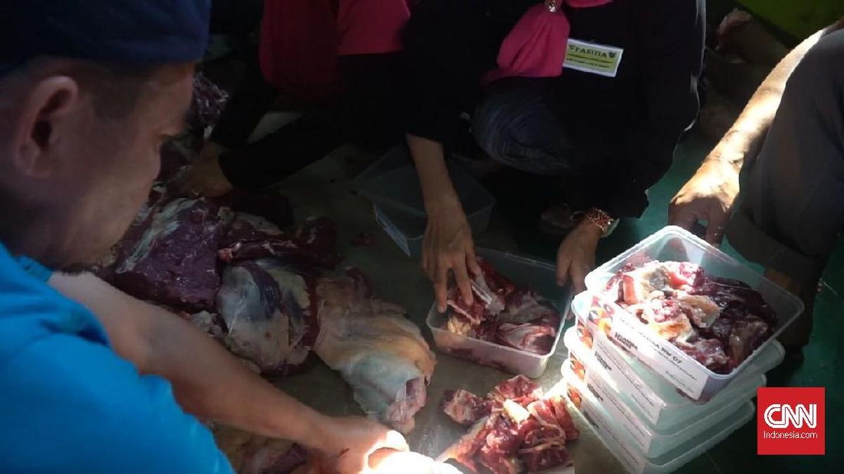 5 Cara Simpan Daging Kurban agar Tetap Segar dan Tahan Lama
