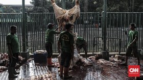 Global Qurban-ACT Tebar Manfaat Kurban ke Jutaan Penerima