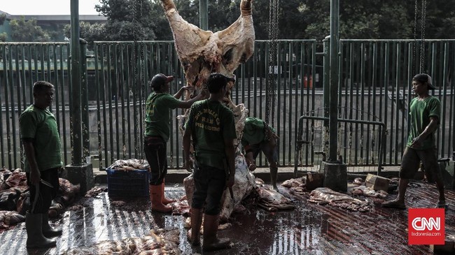 Global Qurban-ACT mulai mendistribusikan amanah kurban ke jutaan penerima manfaat sejak hari ini hingga beberapa hari ke depan.