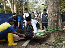 11 Adab dan Tata Cara Menyembelih Hewan Kurban