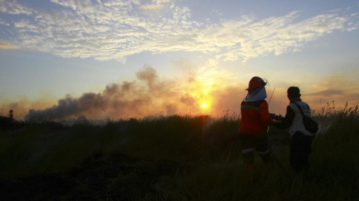 FOTO: Kebakaran Hutan dan Lahan di Kalimantan