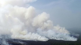 FOTO: Kebakaran Hutan dan Lahan di Kalimantan