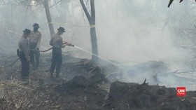 VIDEO: 2.500 Hektare Lahan Terbakar di Palangka Raya