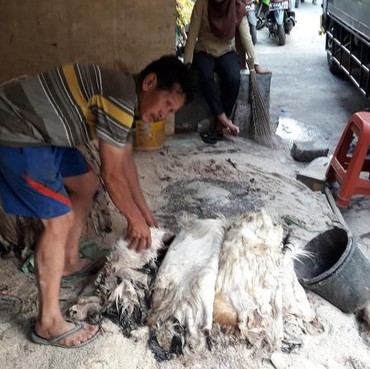 Apakah Kulit Hewan Kurban Boleh Dijual? Ini Penjelasannya Menurut Hukum Islam