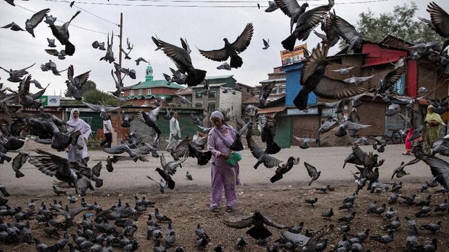 FOTO: Kashmir, Tanah Surga di Tengah Angkara
