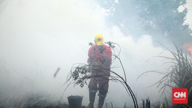 Kepala BPPIKHL Wilayah Sumatra Ferdian Kristanto menyebut api sulit dipadamkan. Menurutnya, sudah sebulan lebih karhutla terjadi di wilayah OKI.