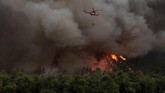 FOTO: Hutan Yunani Dilahap Si Jago Merah Hutan lindung di Pulau Evia, sebelah utara Ibukota Athena, Yunani, hangus akibat kebakaran. Sekitar 1000 pemadam kebakaran diterjunkan untuk memadamkan api.