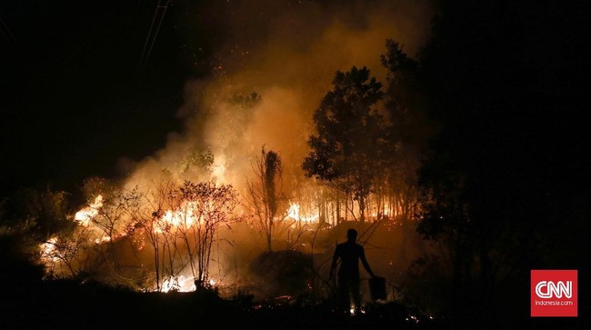 Berikut empat kandungan berbahaya yang terdapat dalam asap kebakaran hutan.