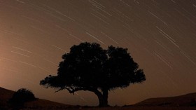 FOTO: Terang Langit Lewat Hujan Meteor Perseids