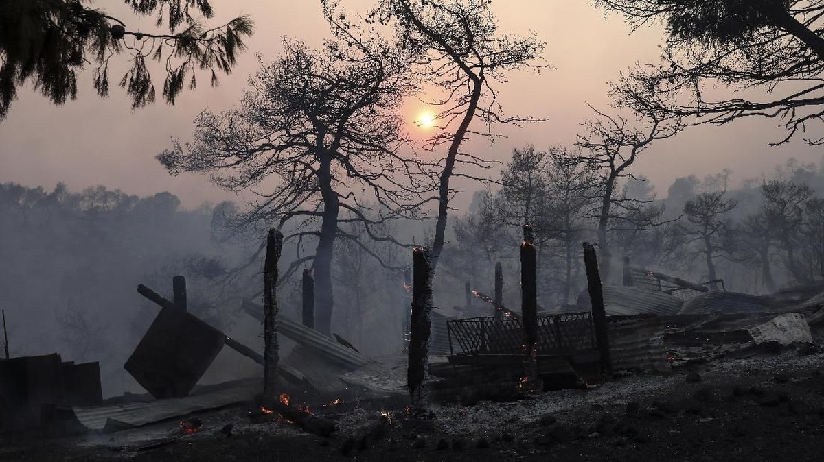 FOTO: Hutan Yunani Dilahap Si Jago Merah