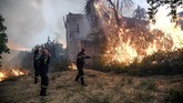 FOTO: Hutan Yunani Dilahap Si Jago Merah Hutan lindung di Pulau Evia, sebelah utara Ibukota Athena, Yunani, hangus akibat kebakaran. Sekitar 1000 pemadam kebakaran diterjunkan untuk memadamkan api.