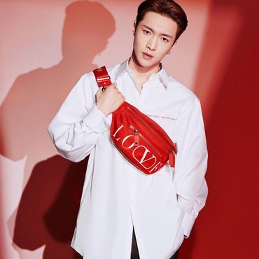 Penggemar Kecewa dengan Lay EXO, Mengapa?