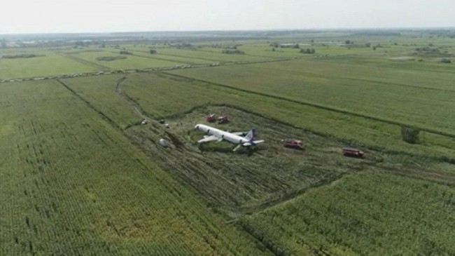 Pesawat Rusia jenis Airbus itu mengalami insiden menabrak burung usai lepas landas dari bandara Moskow.