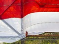 Pembakar Bendera Merah Putih di Lampung Ditetapkan Tersangka