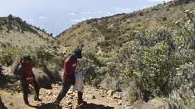 12 Hari Pendaki Hilang di Gunung Lawu, Jalur Cemoro Kandang Ditutup