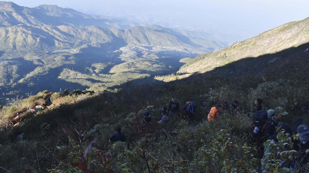 Host Open Trip Kena Blacklist Gegara Tak Sewa Porter Lokal di Lawu