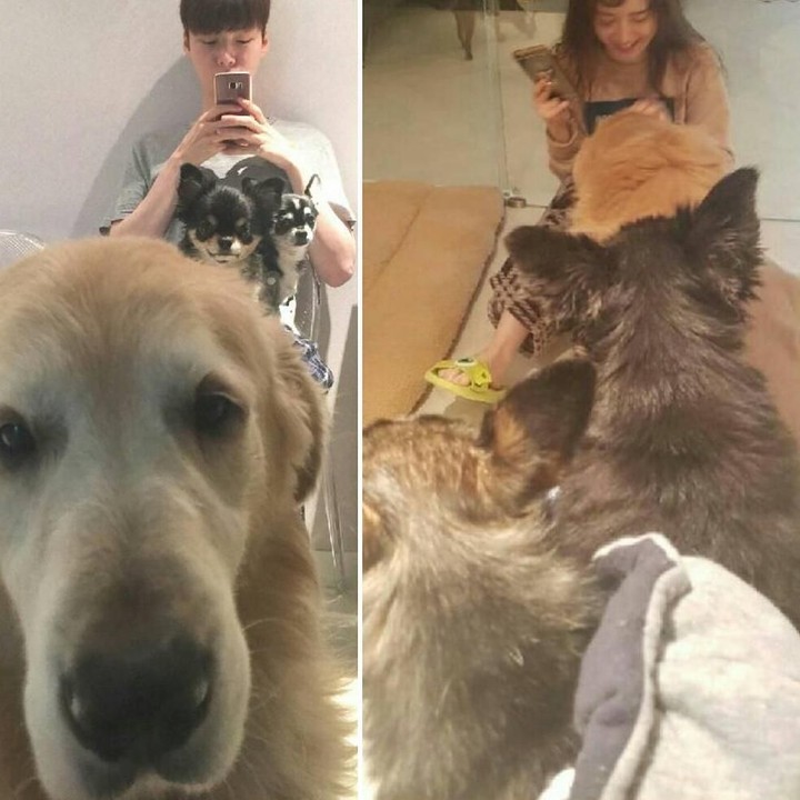 <p>Ahn Jae Hyun berusia dua tahun lebih muda dari sang istri, Goo Hye Sun. Jae Hyun saat ini berusia 32 tahun dan Hye Sun berusia 34 tahun. (Foto: Instagram @aagbanjh)</p>