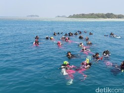 Mau Diving di Pulau Seribu? Ini Aturan Terbaru di Masa Transisi