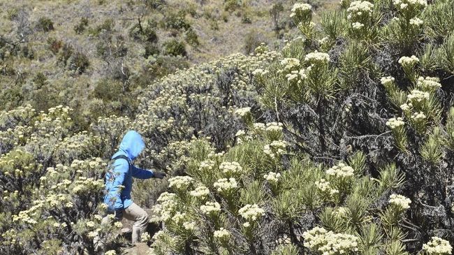 The Lawu Park, Objek Wisata Keluarga di Kaki Gunung Lawu Gunung Lawu bukan cuma dominasi pendaki. Ada beragam wisata keluarga di kaki gunungnya.