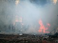 81 Orang Tewas dalam Aksi Protes di Ethiopia