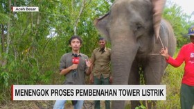 VIDEO: Menengok Proses Pembenahan Tower Listrik