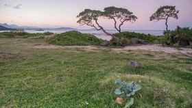 Tips Liburan ke Hawaii Bersama Keluarga
