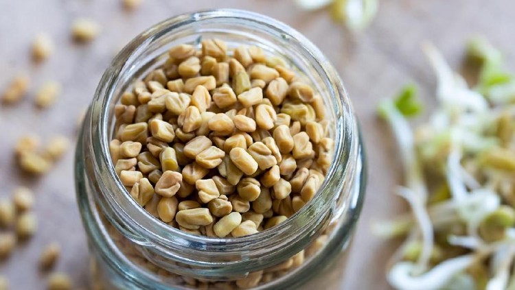 7 Manfaat Fenugreek untuk Kesehatan Keluarga Bunda Fenugreek yang dikenal sebagai ASI booster punya banyak manfaat untuk kesehatan.