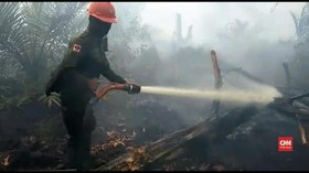 VIDEO: 59 Titik Panas di Pekanbaru Terpantau Akibat Karhutla