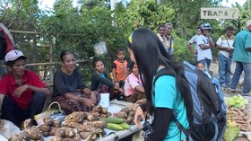 VIDEO: Berburu Kemiri di Pasar 'Mingguan' Flores