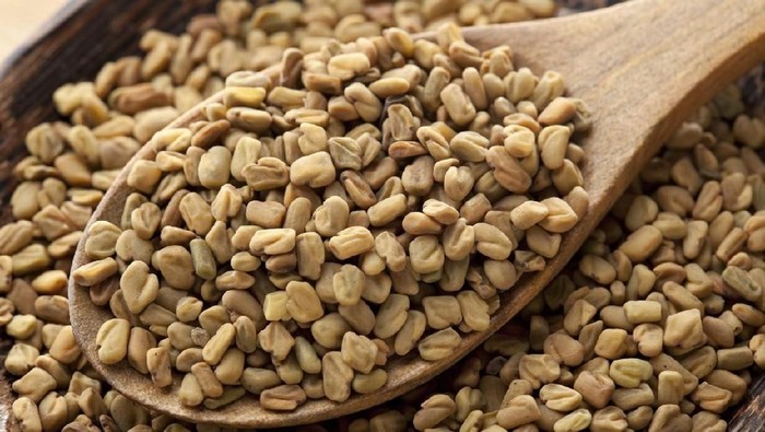 ilustrasi fenugreek