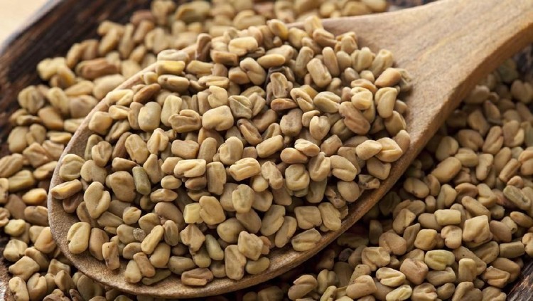Ibu menyusui pasti familiar dengan Fenugreek yang dipercaya bisa jadi ASI booster. Nah, ini dia kandungan fenugreek dan manfaatnya untuk kesehatan.