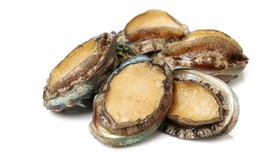 4 Alasan Kerang Abalon Dikenal dengan Harga 'Selangit'