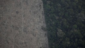 Spesies Tanaman dan Hewan Langka Penghuni Hutan Amazon