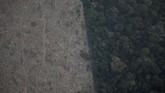 FOTO: Si Jago Merah Mengamuk di Hutan Amazon Kebakaran lahan yang melanda hutan hujan Amazon di Brasil disebut telah mencapai rekor terparah tahun ini.