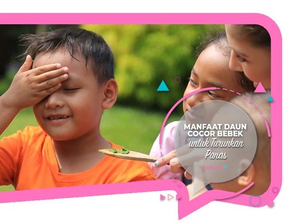 Manfaat Daun Cocor Bebek untuk Turunkan Panas