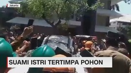 VIDEO: Suami Istri Tertimpa Pohon