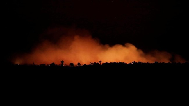 Hutan hujan tropis Amazon mengalami kebakaran dan berikut sejumlah fakta terkait hutan tersebut dan penyebab kebakaran.