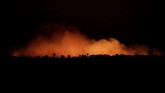 FOTO: Si Jago Merah Mengamuk di Hutan Amazon Kebakaran lahan yang melanda hutan hujan Amazon di Brasil disebut telah mencapai rekor terparah tahun ini.