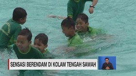 VIDEO: Sensasi Berendam di Kolam Tengah Sawah