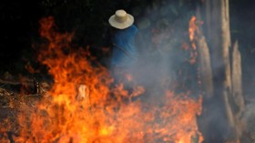 FOTO: Si Jago Merah Mengamuk di Hutan Amazon