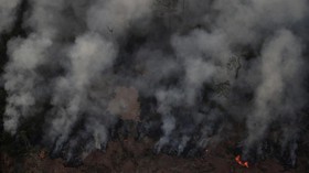 Negara G7 Gelontorkan Dana Bantu Atasi Kebakaran Hutan Amazon