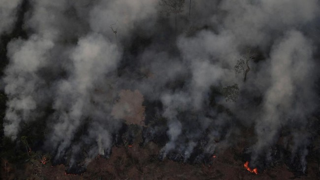 Pemerintah Inggris menyatakan bakal menyumbang Rp174,5 miliar untuk membantu penanganan kebakaran hutan Amazon di Brasil.